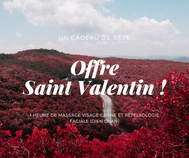 Offre Saint-Valentin : massage visage-crâne et réflexologie faciale (Dien Chan)